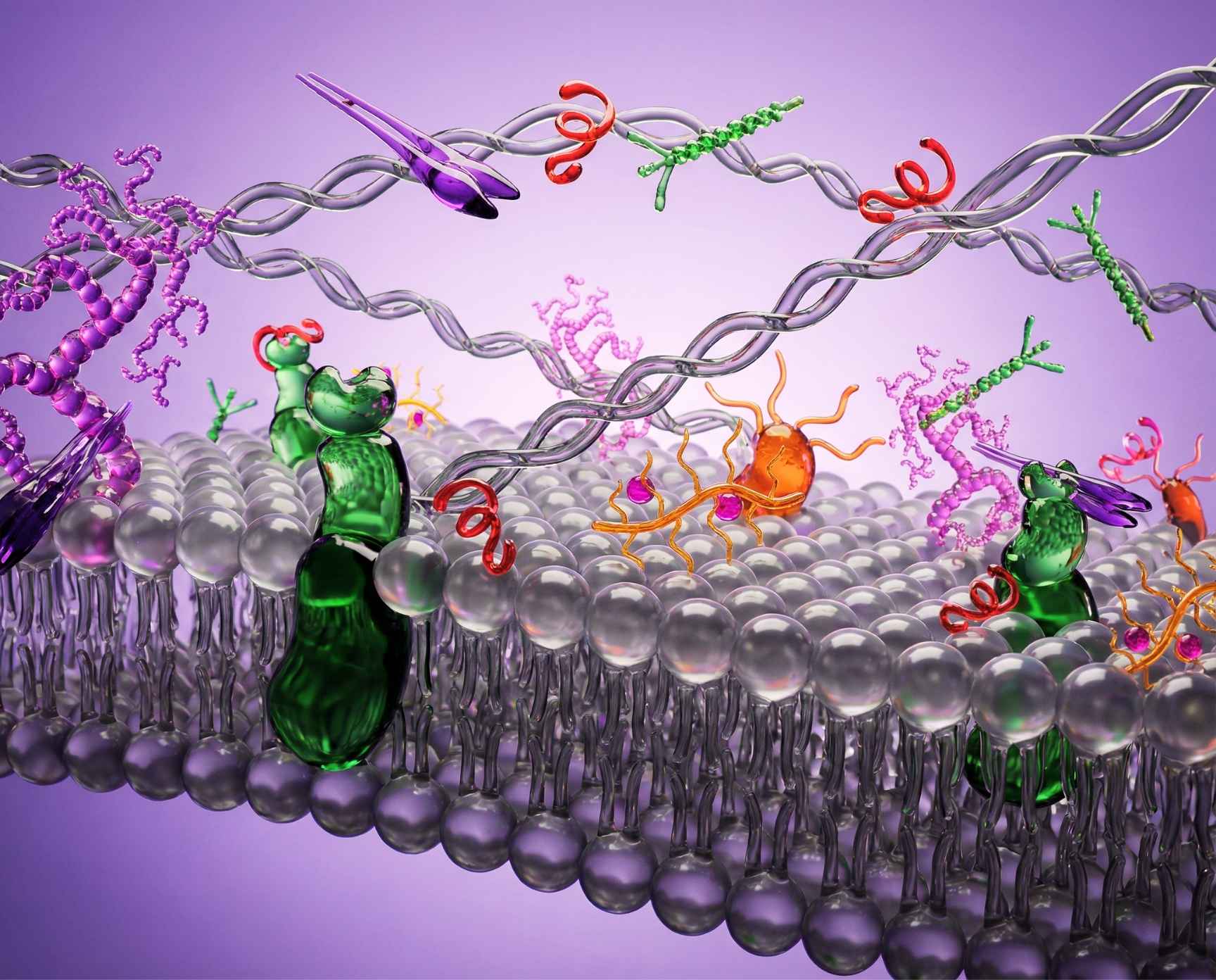 Схематичное изображение внеклеточного матрикса