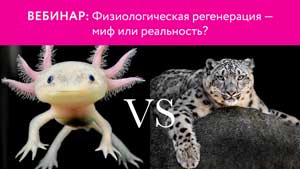 Запись вебинара "Физиологическая регенерация — миф или реальность?"